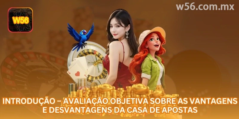 Comparação de recursos e pontos de atenção ao navegar na w56