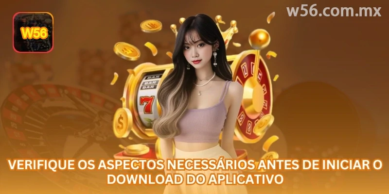 Conferência do endereço, compatibilidade e armazenamento antes de instalar a w56